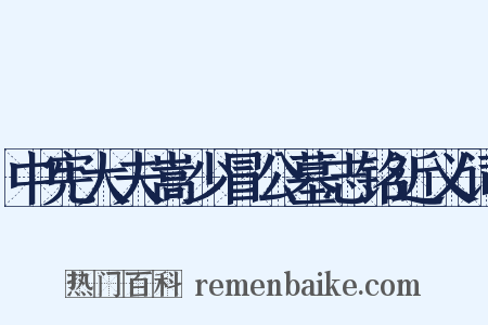 中宪大夫嵩少冒公墓志铭近义词是什么意思的图片